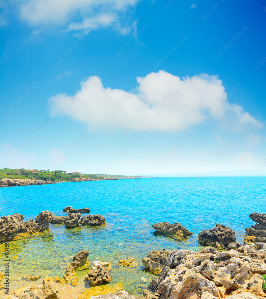 rocky shore under a cloudy sky