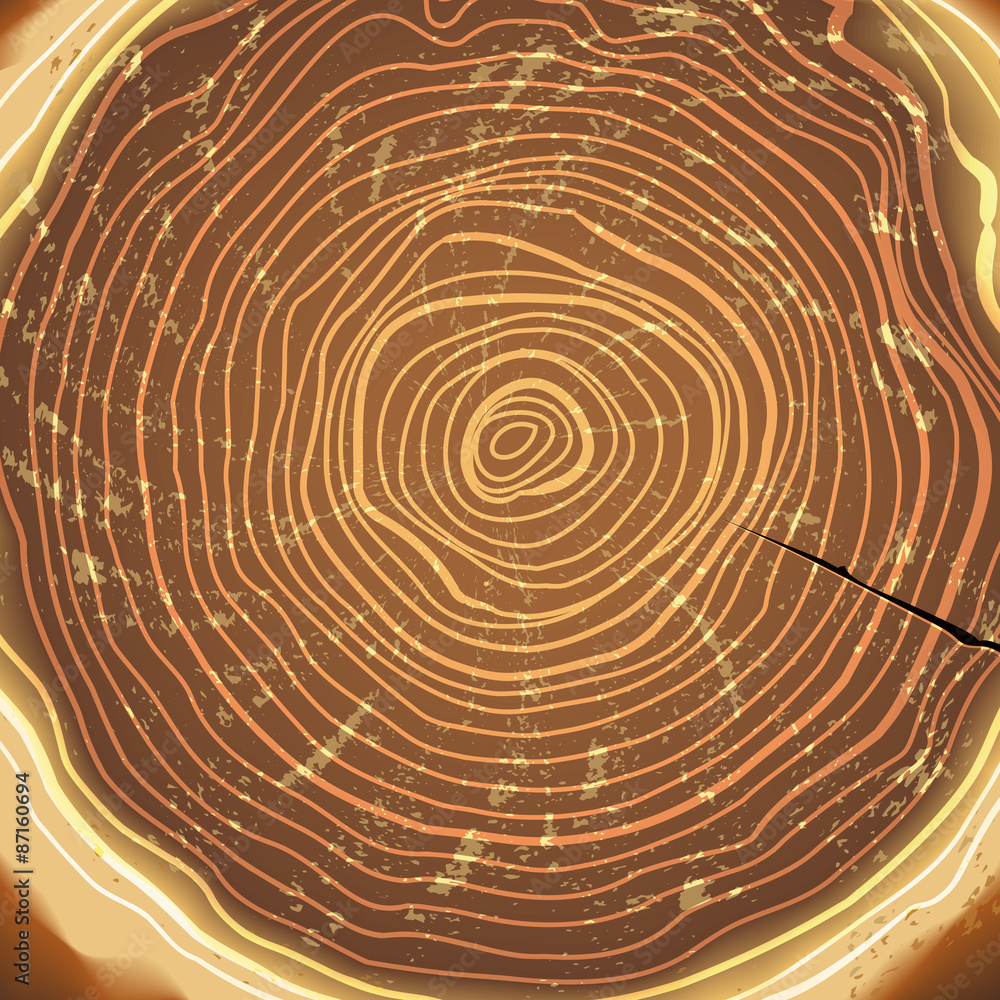 Fototapeta premium Vector drawing tree stump