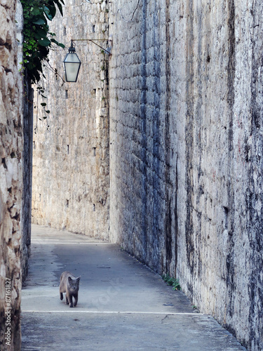 Dubrovnik Walk © knycz