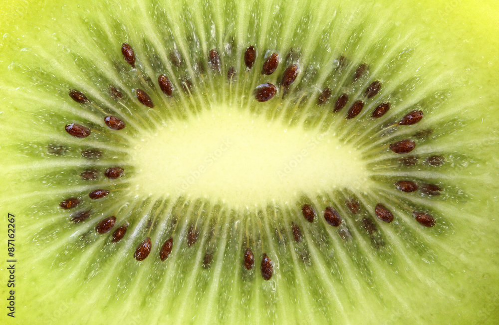 Close up kiwi fruit slice.