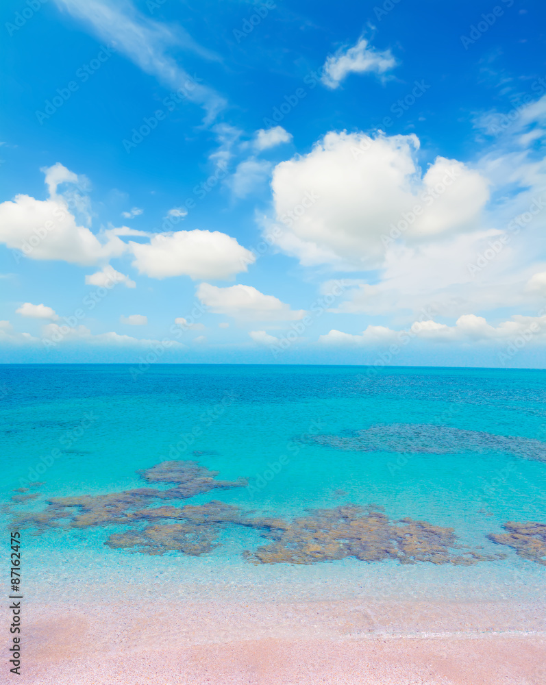 pink shore under a cloudy sky pink shore under a cloudy sky