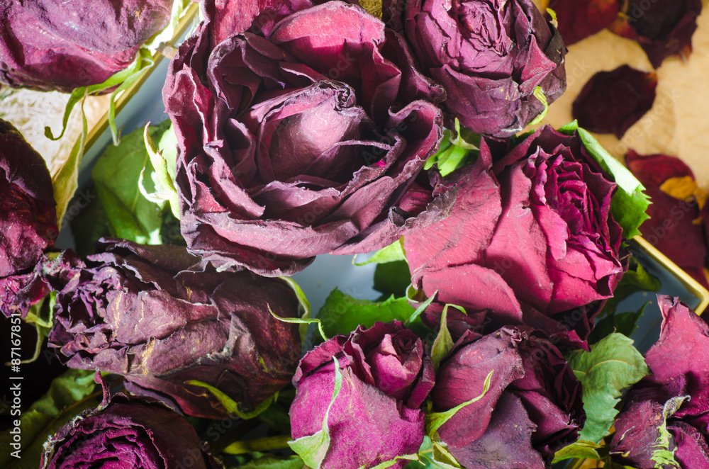 Obraz premium dried roses