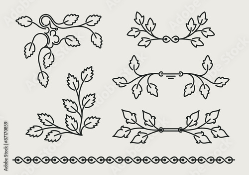Set of six vector floral elements with leaves in mono line style