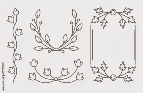 Set of mono line calligraphic floral decorative elements