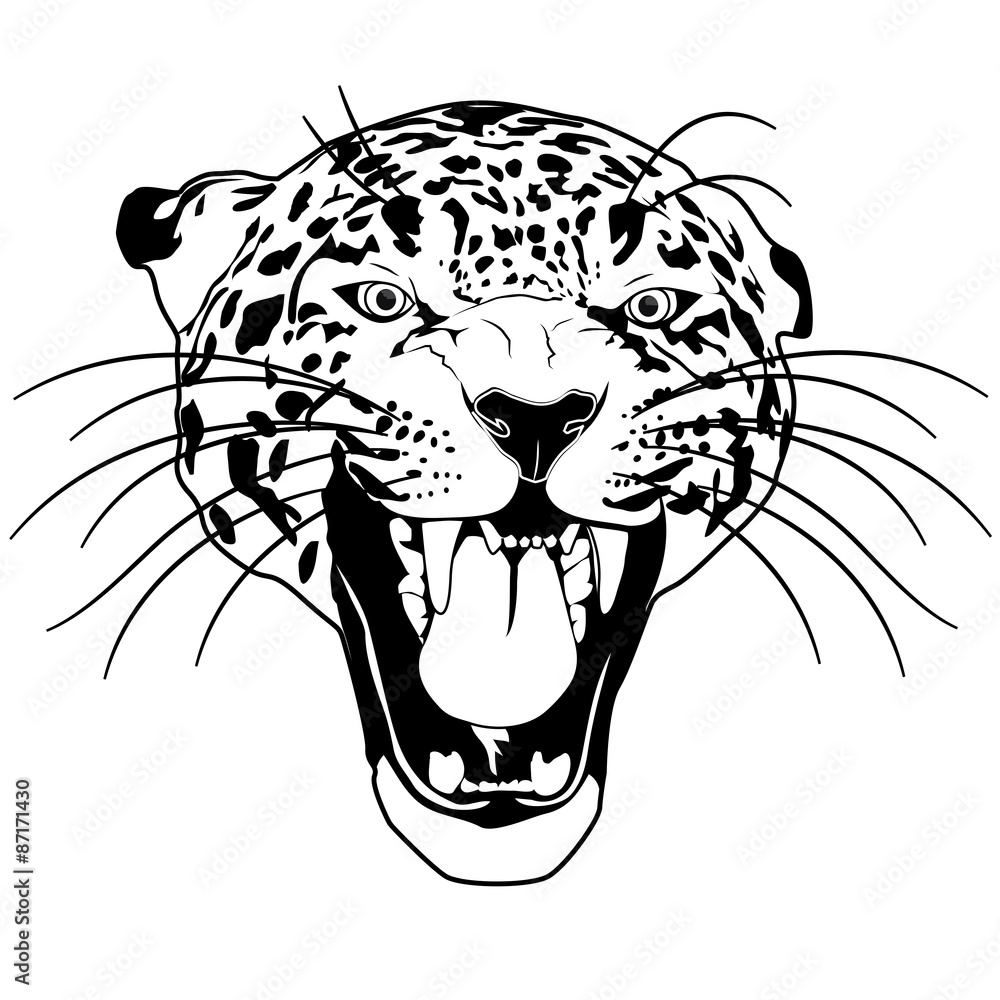 Naklejka premium Wild cat leopard outline vector