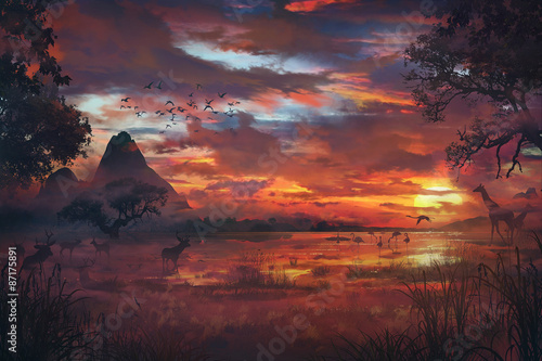 savane