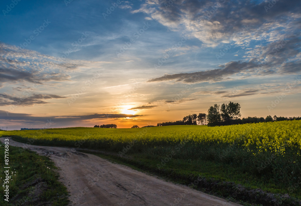 beautiful sunset on a country  road with blue sky and clouds - obrazy, fototapety, plakaty 