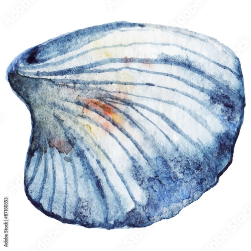 Wallpaper Mural Watercolor sea shell vector isolated clip art Torontodigital.ca