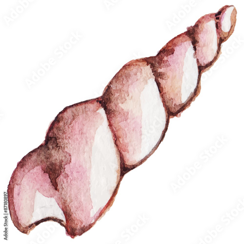 Watercolor sea shell vector isolated clip art
