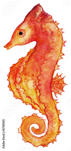 Watercolor seahorse red yellow orange vector isolated clip art