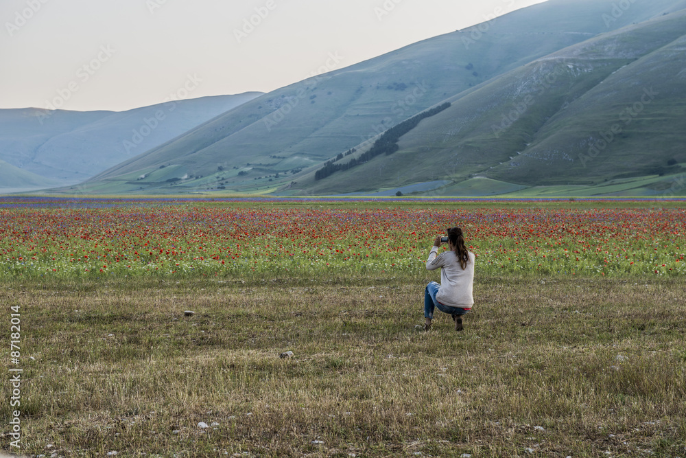 Naklejka premium Fioritura - Castelluccio di Norcia