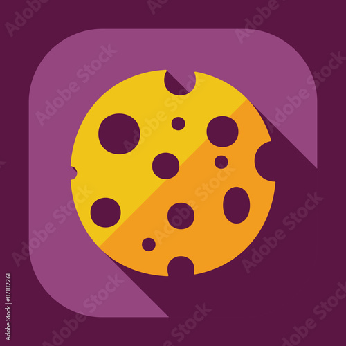 Flat modern design with shadow icons cheese
