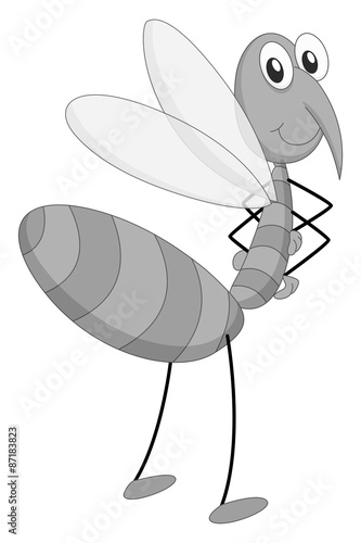Mosquito