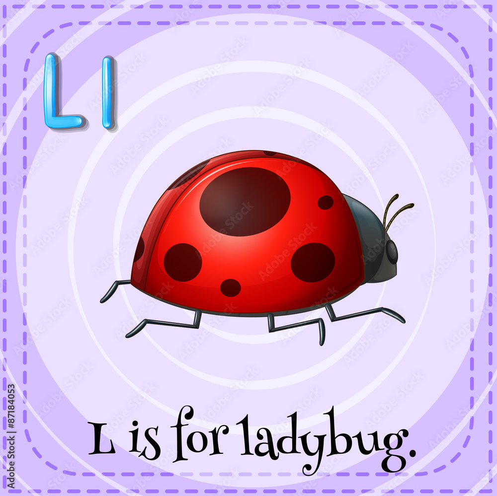 Obraz premium Ladybug