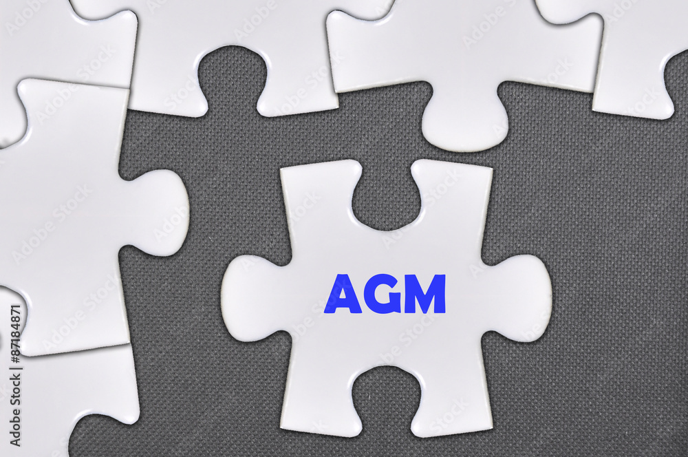 jigsaw puzzle written word agm