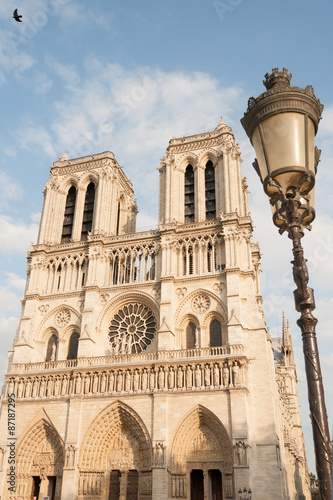 Notre Dame de Paris and traditional street lamp on Ile de la Cite
