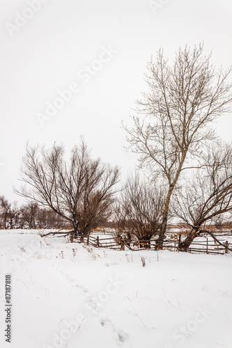 Wallpaper Mural spaces and fences Torontodigital.ca