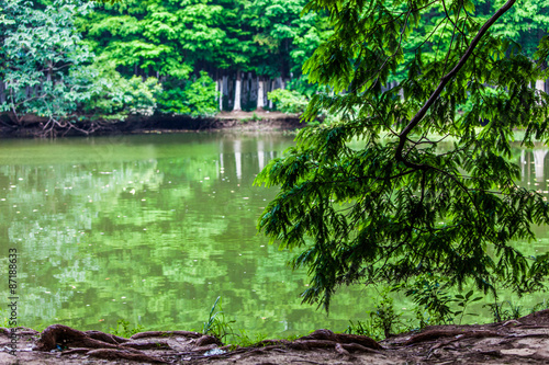 Huangshan See Park