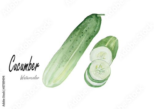 Cucumbers.Hand drawn watercolor painting on white background .Vector illustration