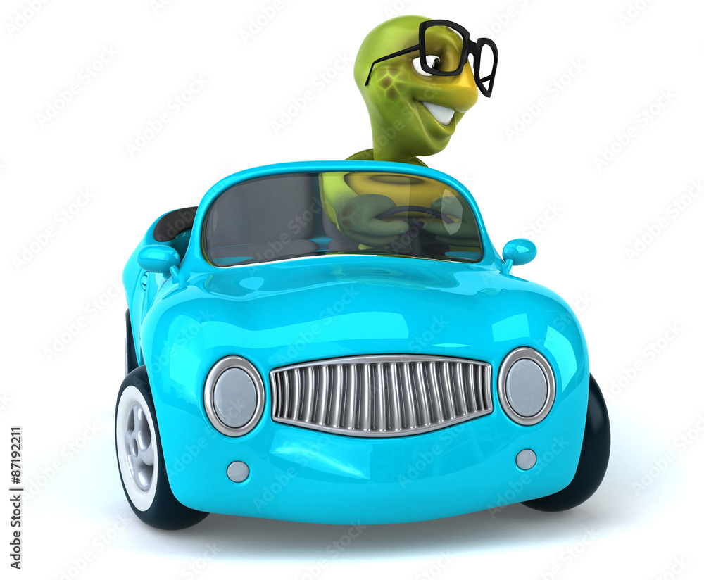 Fun turtle Fun turtle