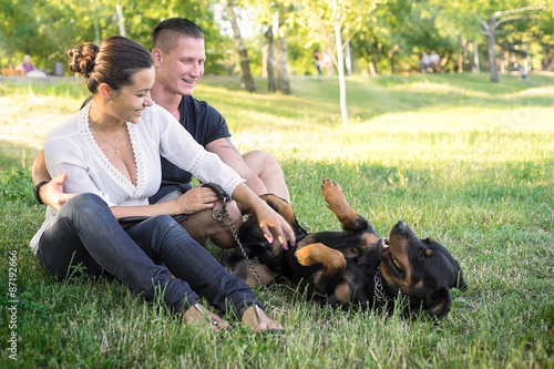 Dog plays with the owners on the grass © Himchenko