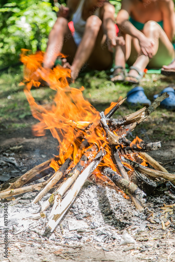 Bonfire in the forest. Happy holidays. Bonfire in the forest. Happy holidays.