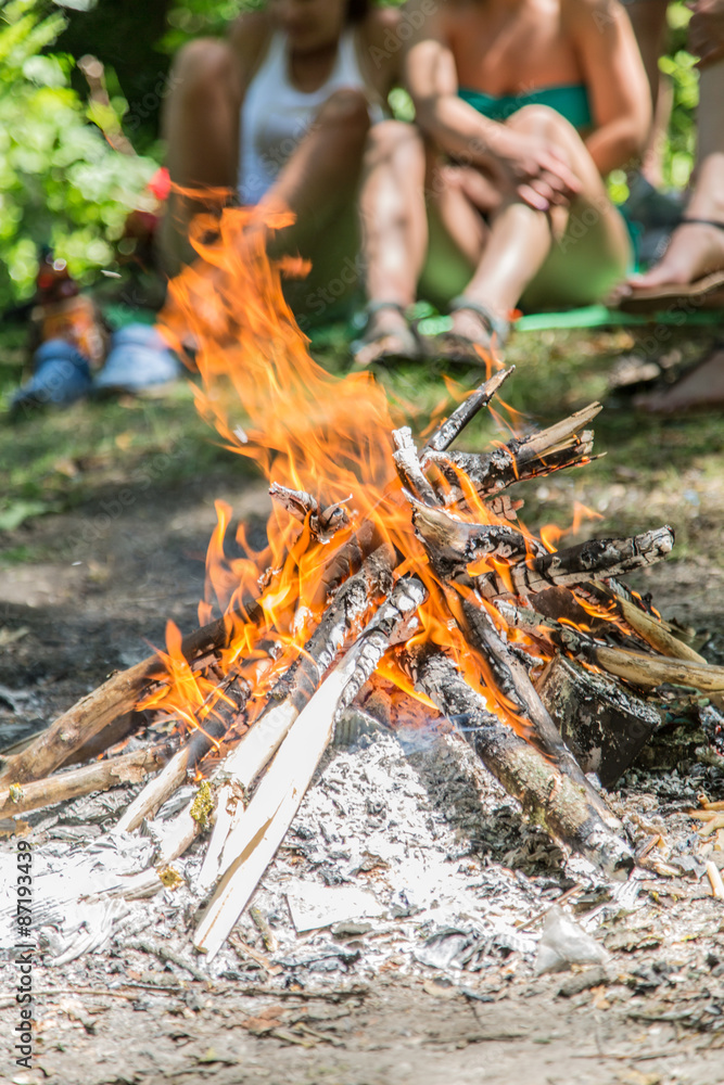 Bonfire in the forest. Happy holidays. Bonfire in the forest. Happy holidays.