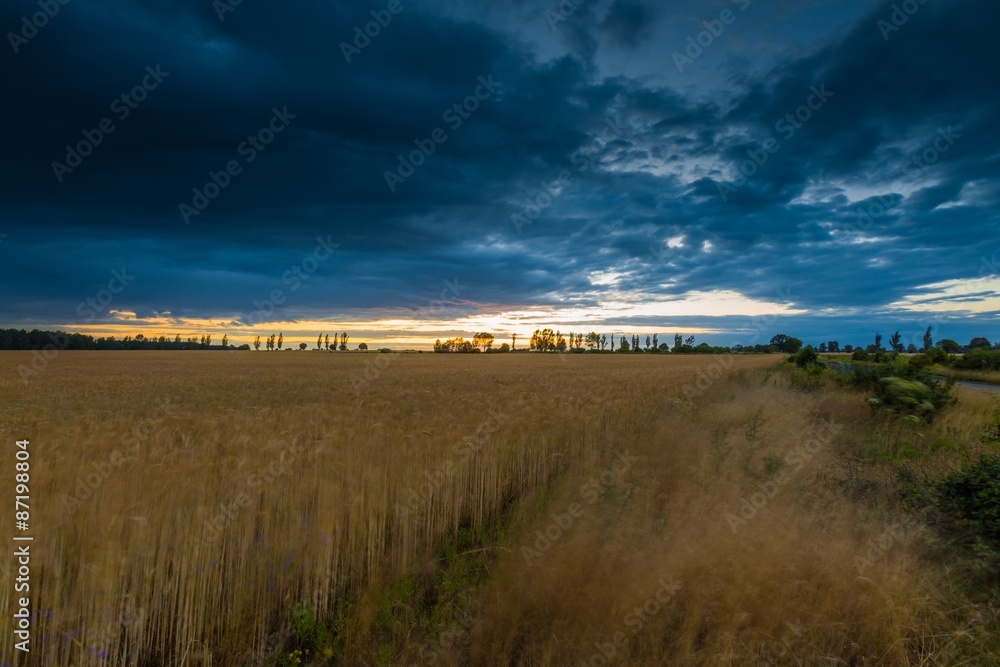 Fototapeta premium Landscape with dark stormy sky over fields at twilight