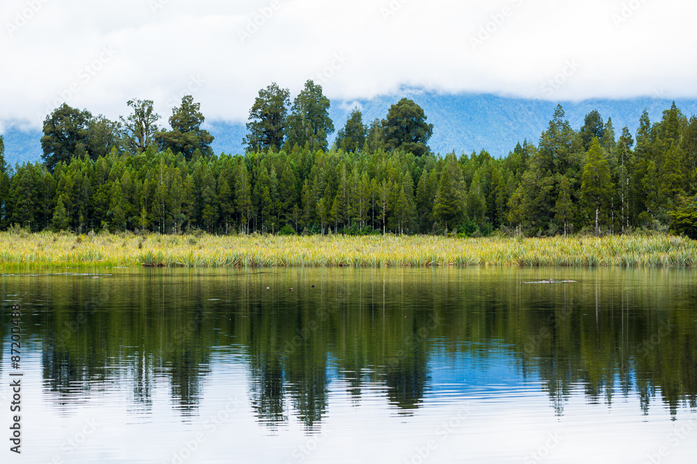 lake matheson west coast  new zealand