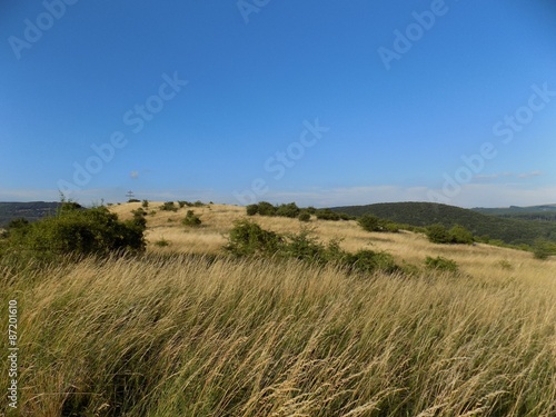 Meadow  forests and blue sky