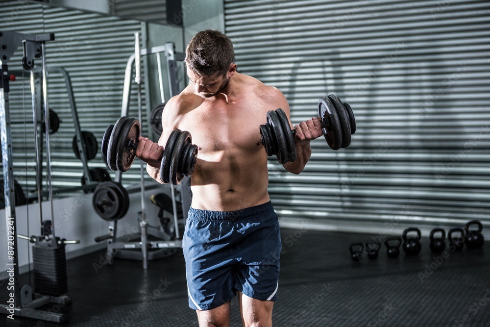Fototapeta premium Concentrated muscular man lifting dumbbells