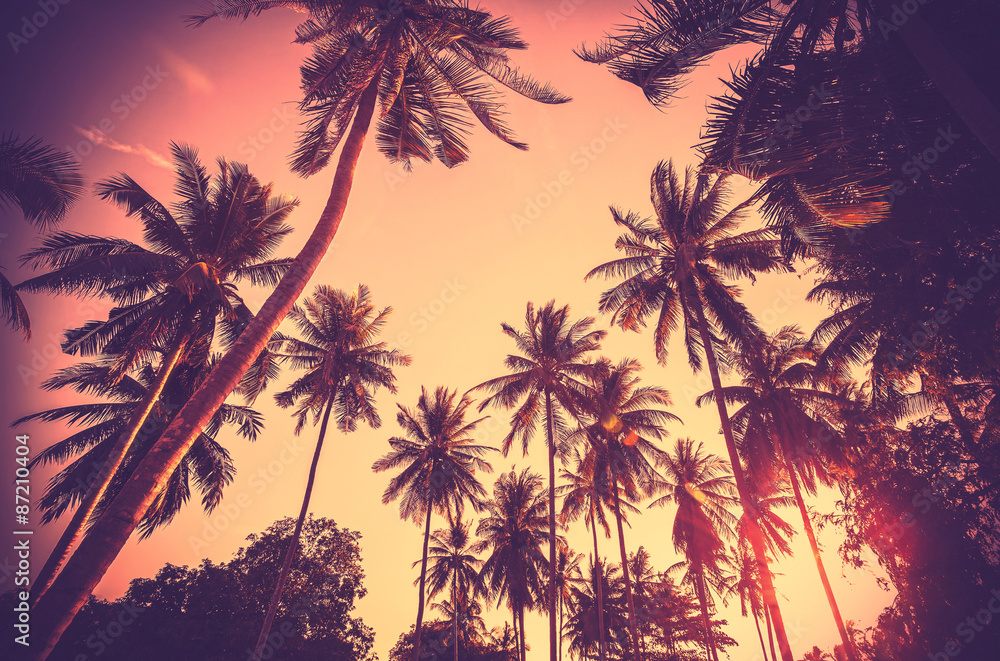 Obraz Vintage stonowanych sylwetki drzewa palmowego o zachodzie słońca.