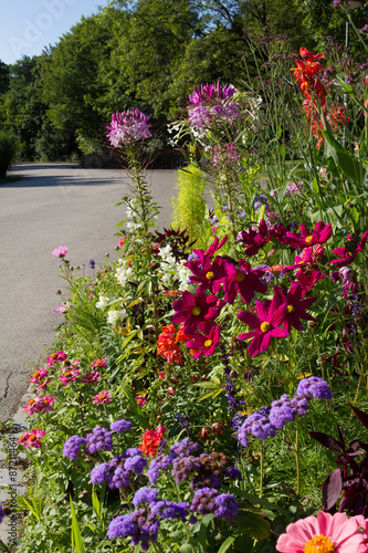 Fototapeta Naklejka Na Ścianę i Meble -  Farbenfrohes Sommerblumenbeet im Park