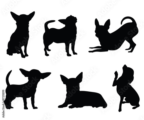 chihuahua dog illustration set photo