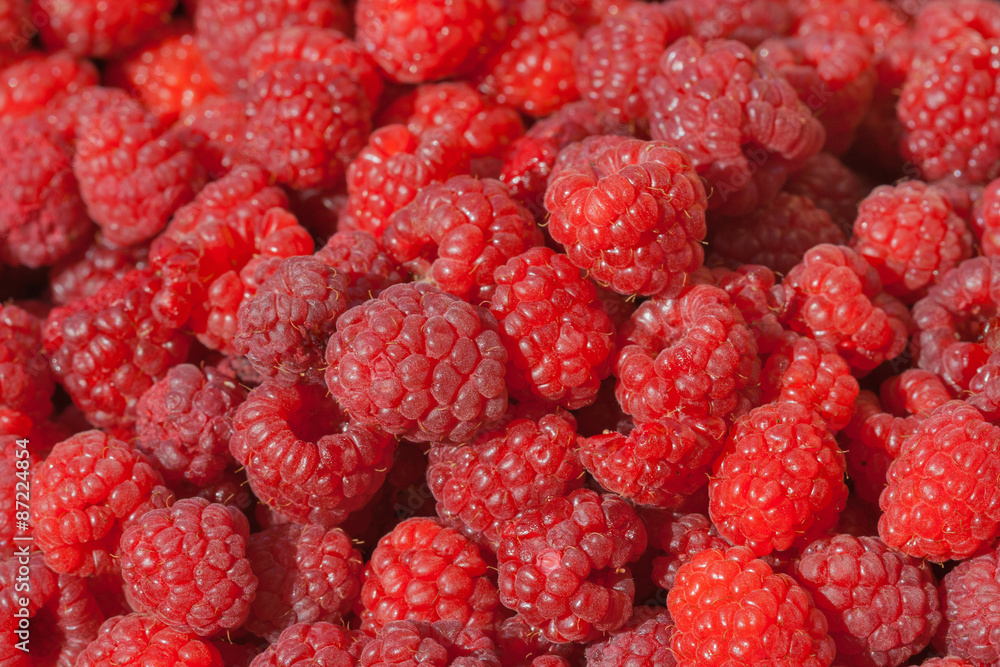 Fresh ripe raspberry background closeup Fresh ripe raspberry background closeup
