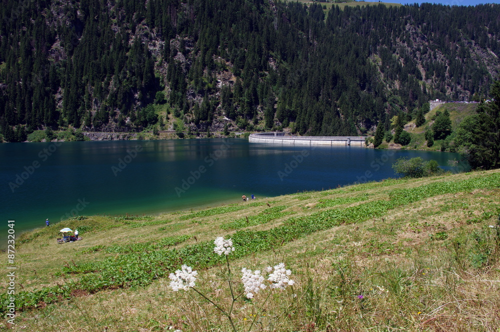 Fototapeta premium barrage de saint guérin-savoie