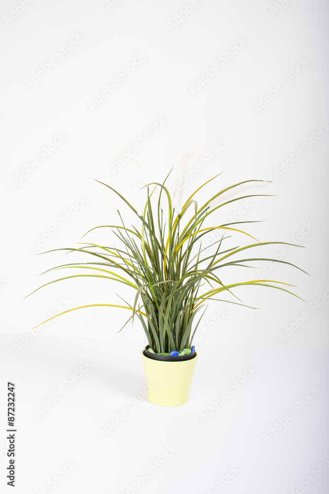 small interior decor tree small interior decor tree