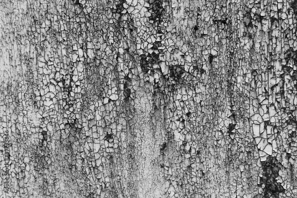 Fototapeta premium rusty metal wall texture