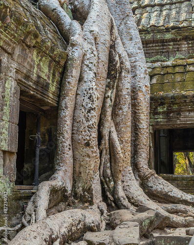 Angkor Wat, Siem Reap, Cambodia.