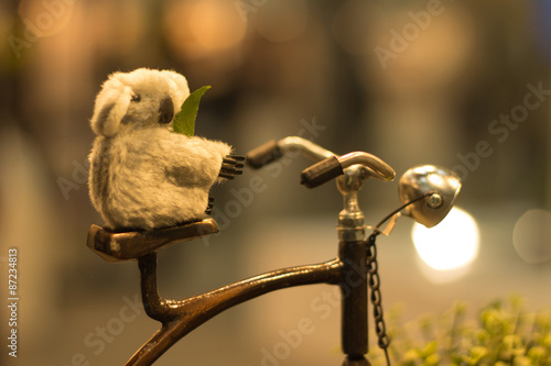 Photography Koala Bike ^^