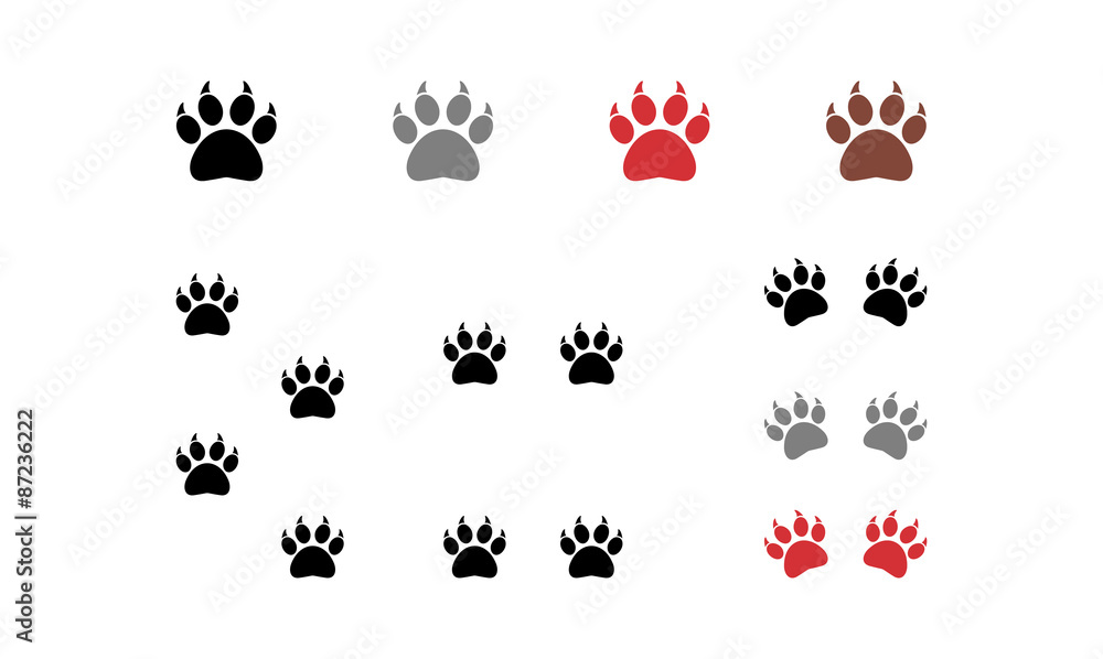 Animal Paw Claw Vector Variation Animal Paw Claw Vector Variation