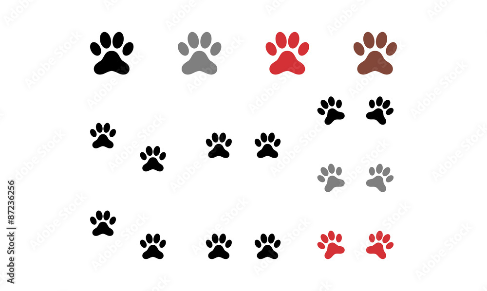 Variety of Paw Claw Vector Illustration Variety of Paw Claw Vector Illustration