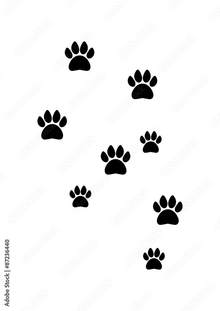 Fototapeta premium Animal Footprint Silhouette Vector