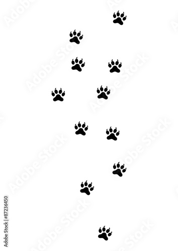 Simple Animal Footprint Vector