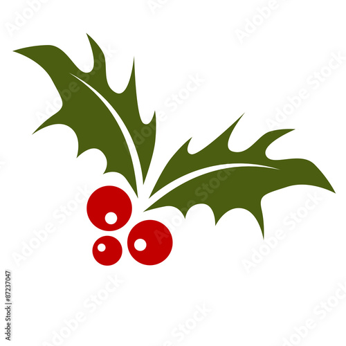 Holly Leaf with Berries
