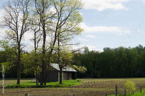 Old Shed in newly planted corn field.