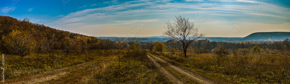 Obraz premium Panorama with road and tree
