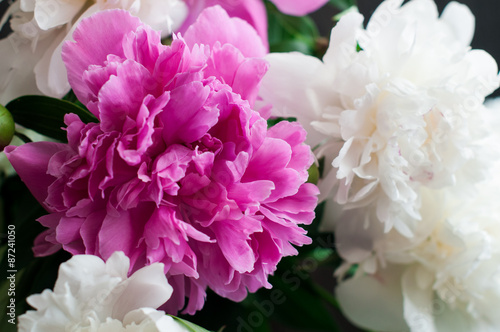 white and pink peonies on wooden background © Titarenko