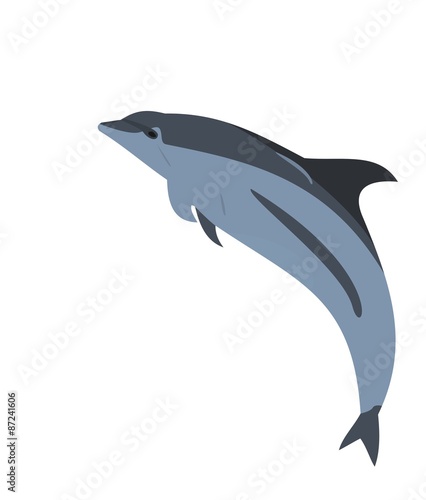 Realistic illustration of a dolphin