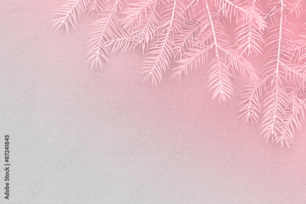 New Christmas background with real pine tree branches